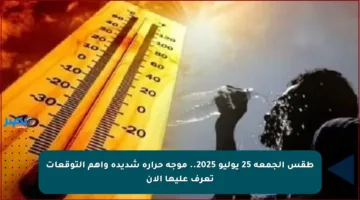 طقس الجمعة 25 يوليو 2025.. موجة حرارة شديدة وأهم التوقعات تعرف عليها الآن